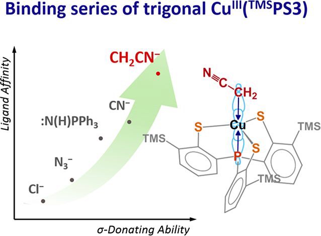 圖一：一系列三價Cu(TMSPS3)衍生物與軸位配位基的鍵結強度關係圖