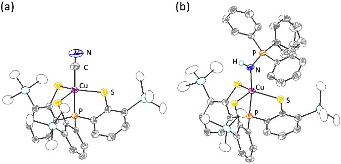 圖二：三價銅錯合物[Cu(TMSPS3)(CN)]− (a)、Cu(TMSPS3)(HN=PPh3) (b)之結構圖