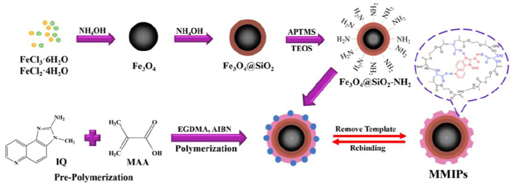 圖1：分子印記磁性聚合物合成流程圖