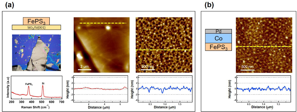 圖二：(a)機械剝離的FePS3表面：由AFM原子力顯微鏡量測的具有線輪廓的光學影像和表面形貌。左下圖顯示從剝離的FePS3表面測量的拉曼光譜數據。(b)具有線輪廓的Pd/Co/FePS3異質結構的表面形貌圖像。
