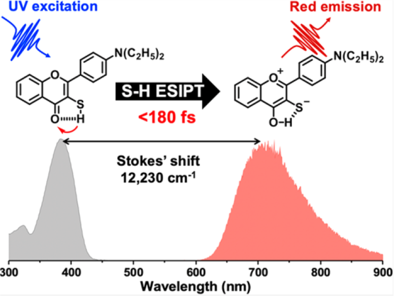 圖1：3-硫醇黃酮化合物受光激發後，發生激發態質子轉移，生成硫酮異構物，放出紅移後的螢光。